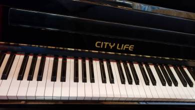 ctylife2